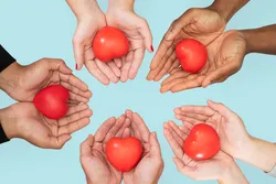 Wisdom and Compassionate Leadership: 10 Styles That Drive 86% Job Satisfaction